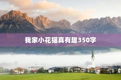 我家小花猫真有趣350字