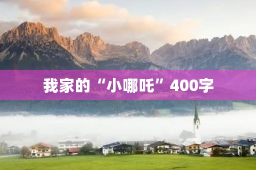 我家的“小哪吒”400字 我家的“小哪吒”400字