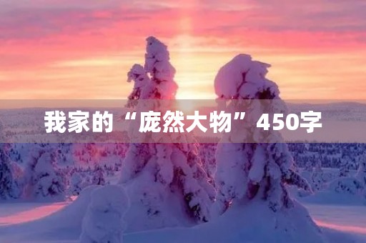 我家的“庞然大物”450字 我家的“庞然大物”450字