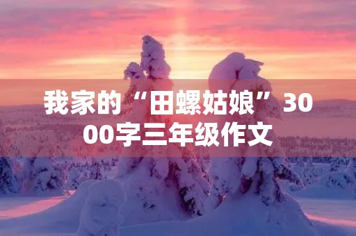 我家的“田螺姑娘”3000字三年级作文