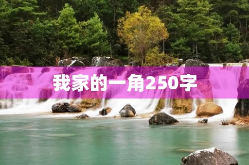 我家的一角250字 我家的一角250字