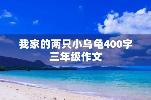 我家的两只小乌龟400字三年级作文 我家的两只小乌龟400字三年级作文