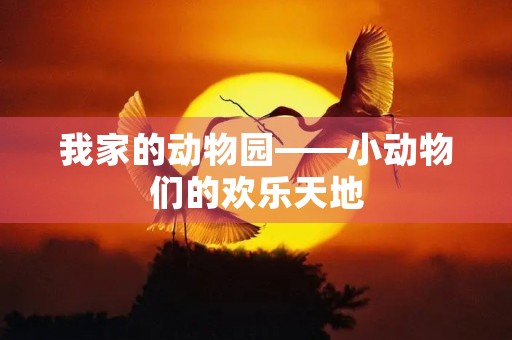 我家的动物园——小动物们的欢乐天地
