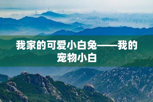我家的可爱小白兔——我的宠物小白