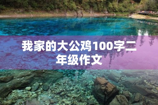 我家的大公鸡100字二年级作文 我家的大公鸡100字二年级作文