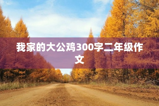 我家的大公鸡300字二年级作文
