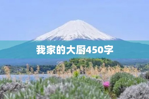 我家的大厨450字
