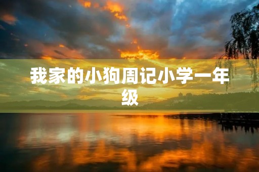 我家的小狗周记小学一年级 我家的小狗周记小学一年级