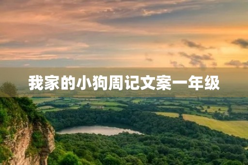 我家的小狗周记文案一年级 我家的小狗周记文案一年级