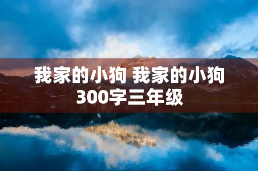 我家的小狗 我家的小狗300字三年级 我家的小狗 我家的小狗300字三年级