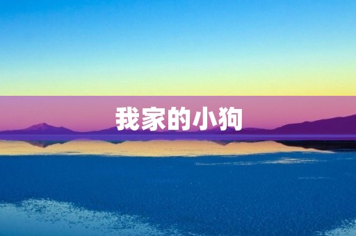 我家的小狗 我家的小狗