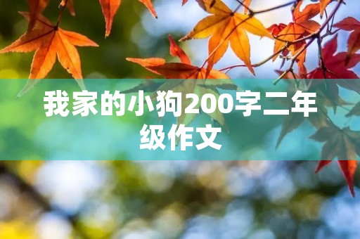 我家的小狗200字二年级作文