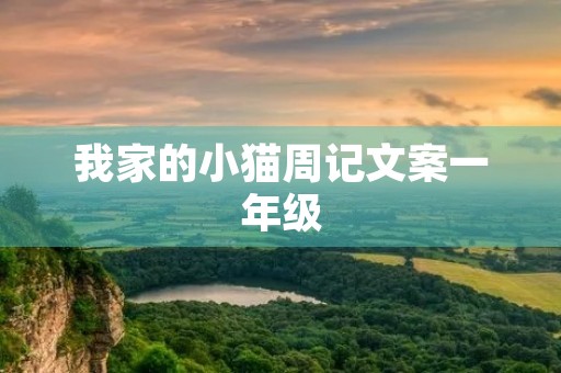 我家的小猫周记文案一年级 我家的小猫周记文案一年级