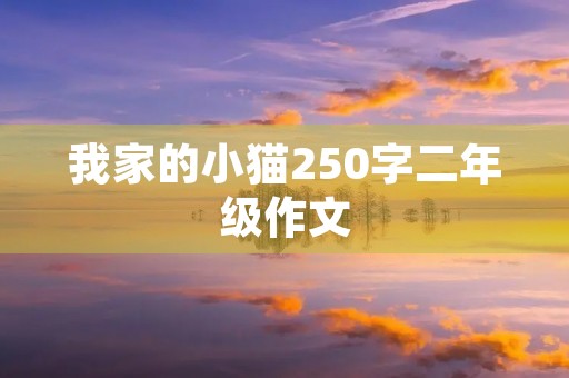 我家的小猫250字二年级作文 我家的小猫250字二年级作文