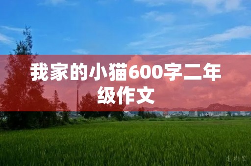 我家的小猫600字二年级作文