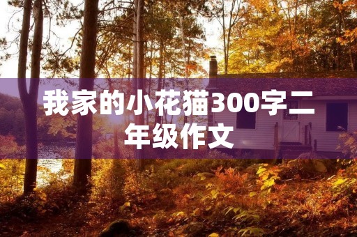 我家的小花猫300字二年级作文 我家的小花猫300字二年级作文