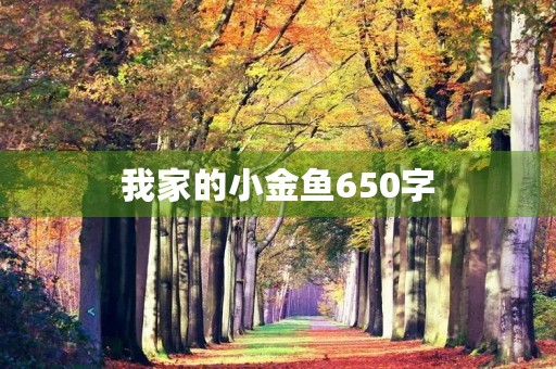 我家的小金鱼650字