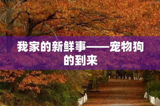 我家的新鲜事——宠物狗的到来