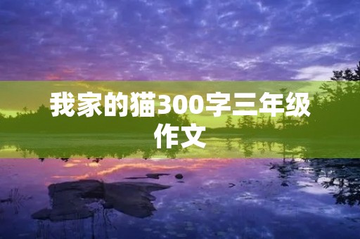 我家的猫300字三年级作文