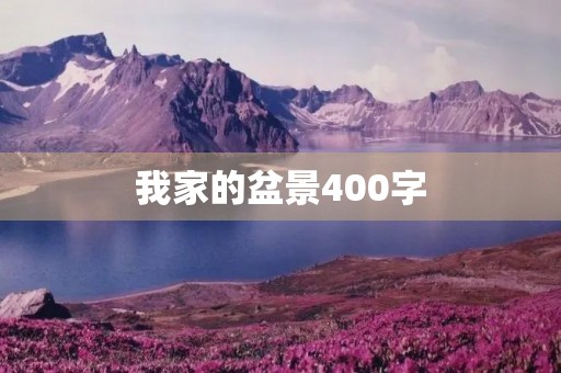 我家的盆景400字