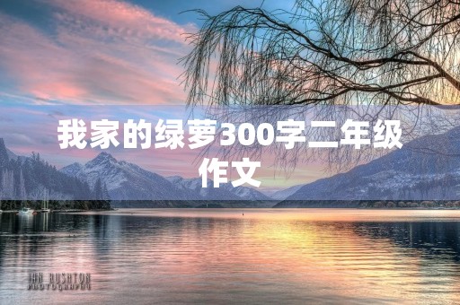 我家的绿萝300字二年级作文 我家的绿萝300字二年级作文