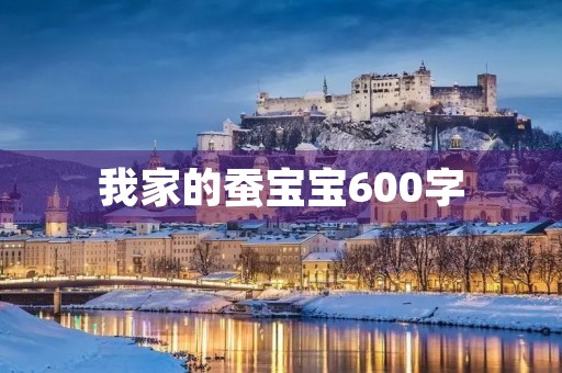 我家的蚕宝宝600字
