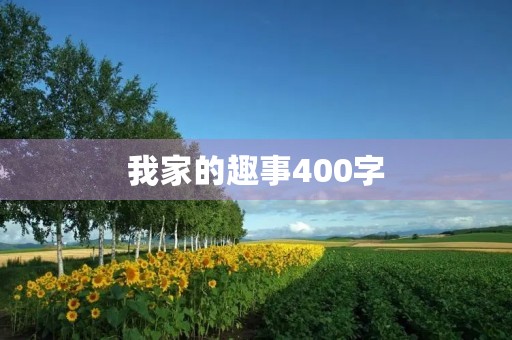 我家的趣事400字