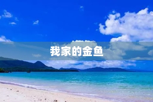 我家的金鱼