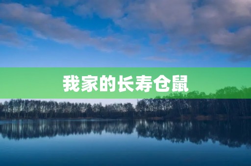 我家的长寿仓鼠