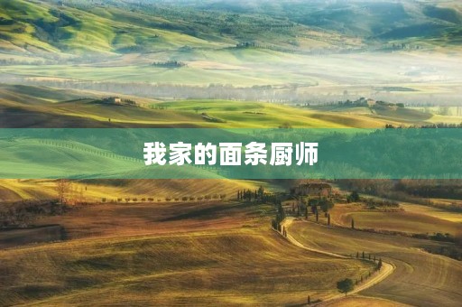 我家的面条厨师