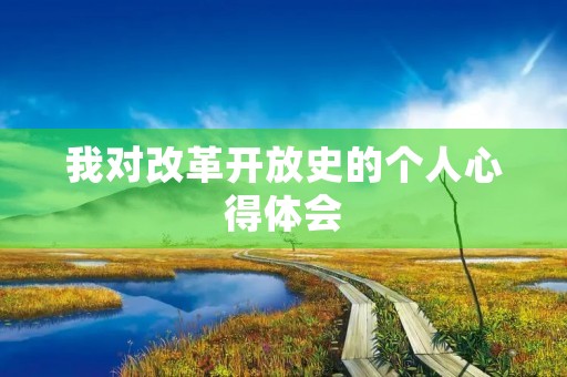 我对改革开放史的个人心得体会