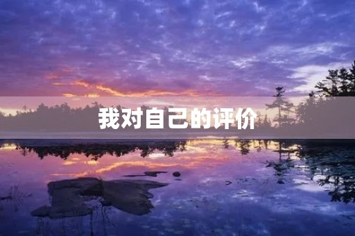 我对自己的评价 我对自己的评价