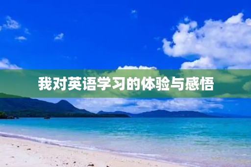 我对英语学习的体验与感悟 我对英语学习的体验与感悟