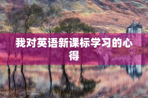 我对英语新课标学习的心得