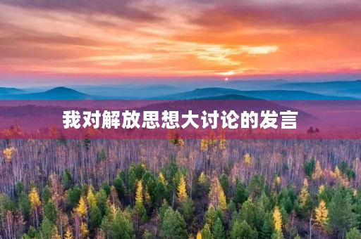 我对解放思想大讨论的发言