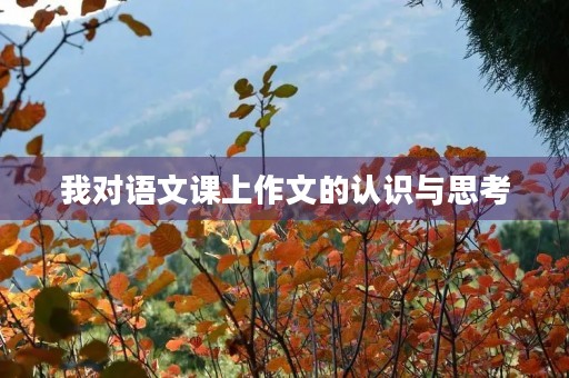 我对语文课上作文的认识与思考