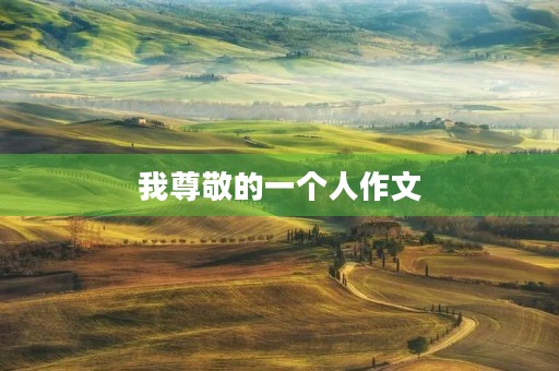 我尊敬的一个人作文