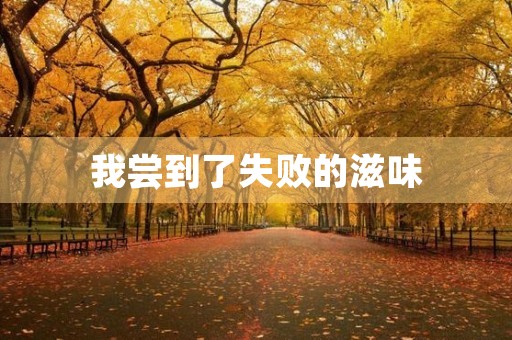 我尝到了失败的滋味 我尝到了失败的滋味