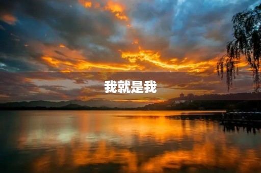 我就是我,不一样的作文风格 我就是我,不一样的作文风格