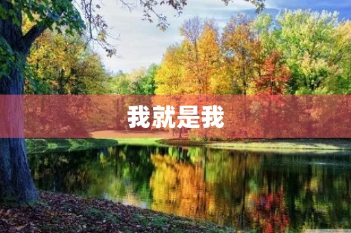 我就是我,不一样的烟火 我就是我,不一样的烟火