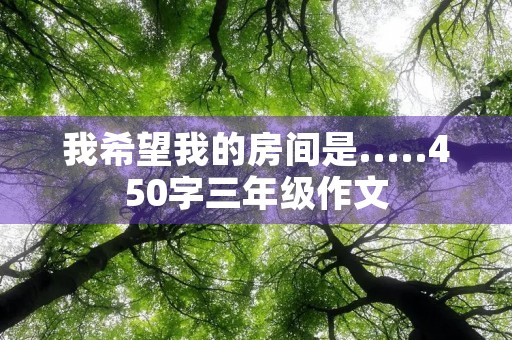 我希望我的房间是.....450字三年级作文