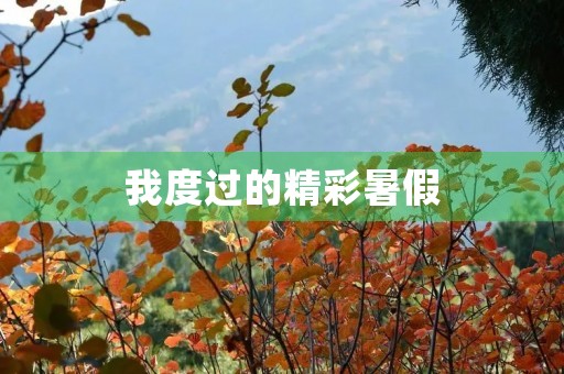 我度过的精彩暑假 我度过的精彩暑假