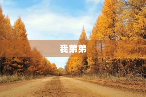 我弟弟
