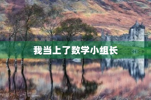 我当上了数学小组长 我当上了数学小组长
