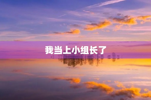 我当上小组长了 我当上小组长了
