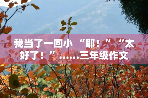 我当了一回小 “耶!”“太好了!”……三年级作文 我当了一回小 “耶!”“太好了!”……三年级作文