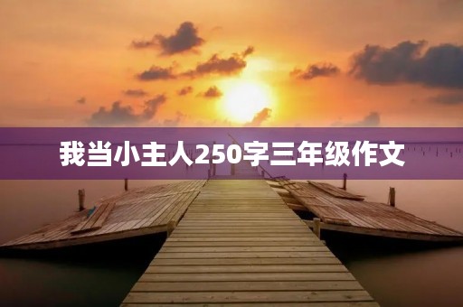 我当小主人250字三年级作文