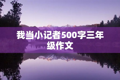 我当小记者500字三年级作文