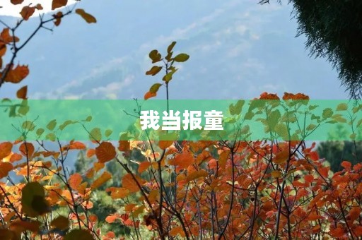 我当报童