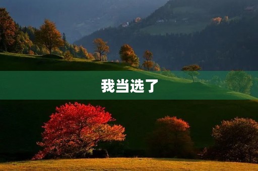 我当选了 我当选了